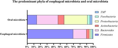 Human Microbiota in Esophageal Adenocarcinoma: Pathogenesis, Diagnosis, Prognosis and Therapeutic Implications